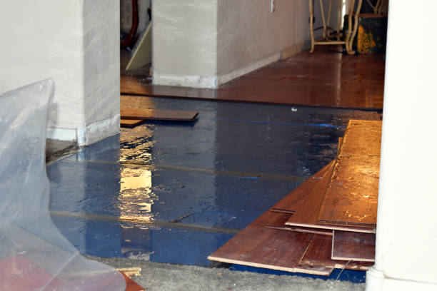 Professional Flood Cleanup technician working in Summitville, IN